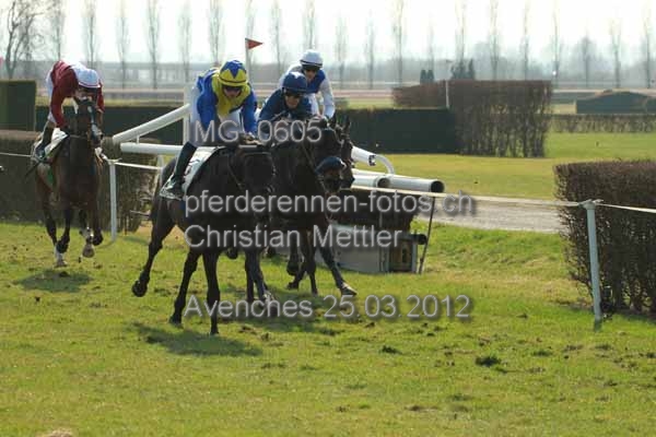 IMG 0605 prot