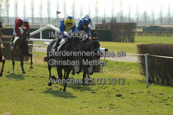 IMG 0606 prot