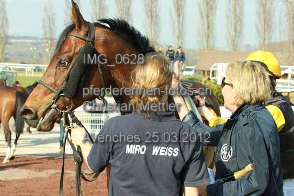 IMG 0628 prot