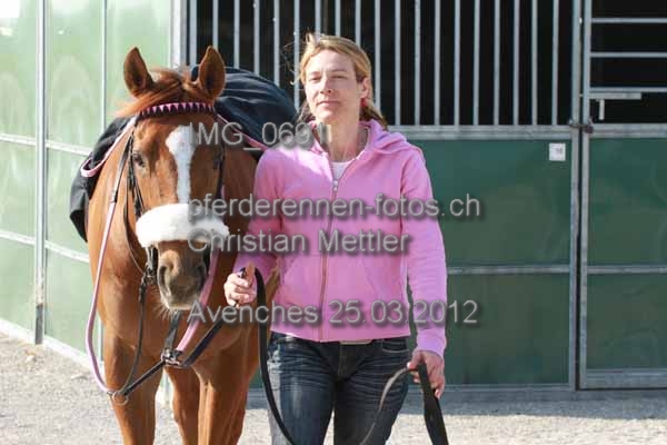 IMG 0691 prot