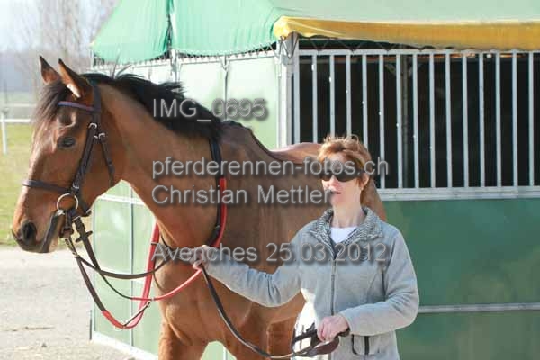 IMG 0695 prot