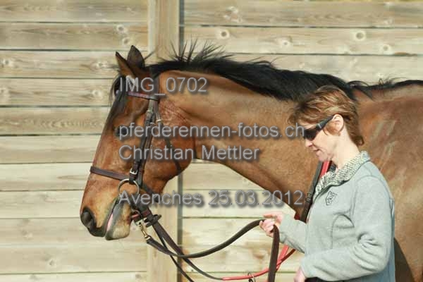 IMG 0702 prot