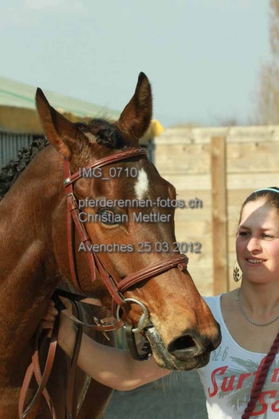 IMG 0710 prot