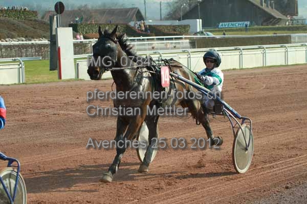 IMG 0784 prot
