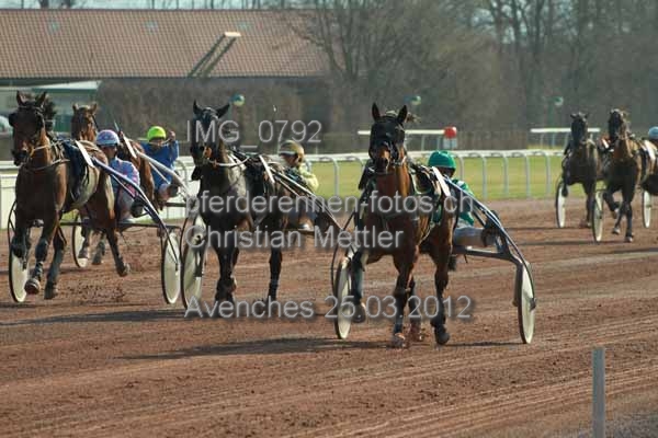 IMG 0792 prot