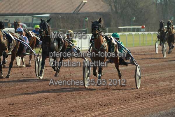 IMG 0795 prot