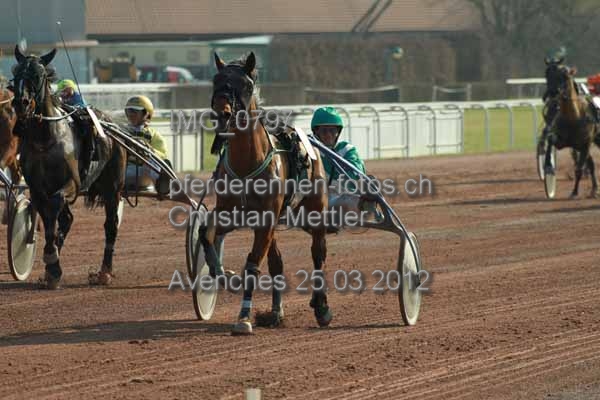 IMG 0797 prot