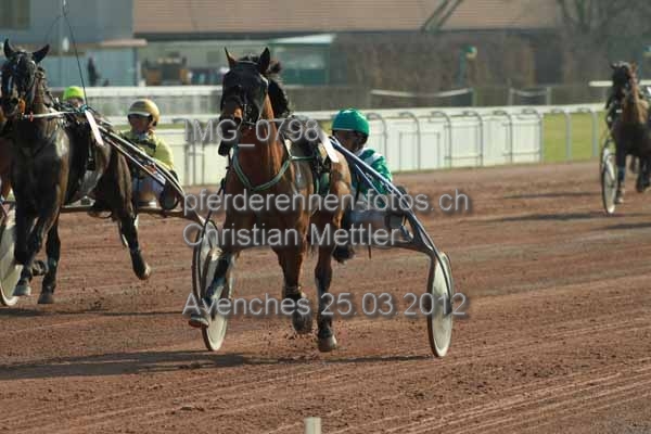 IMG 0798 prot