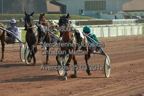 IMG 0800 prot