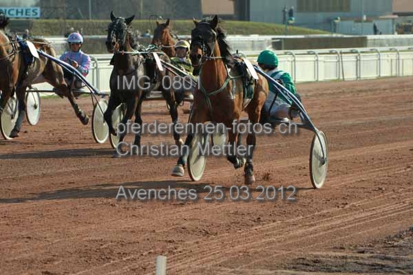 IMG 0801 prot