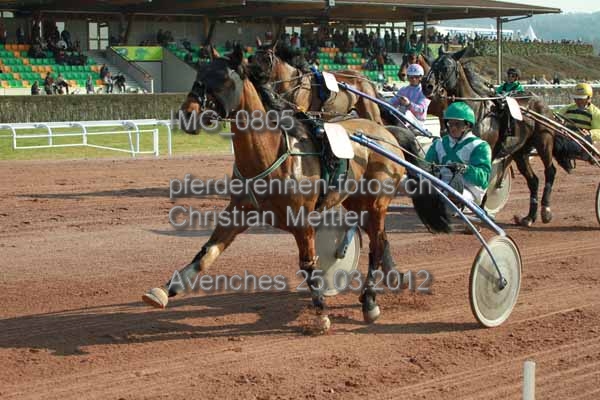 IMG 0805 prot