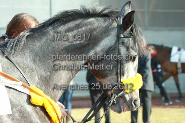 IMG 0817 prot