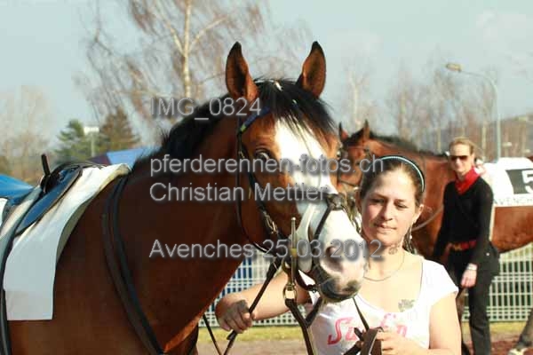 IMG 0824 prot