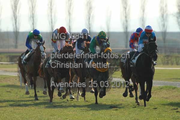 IMG 0841 prot
