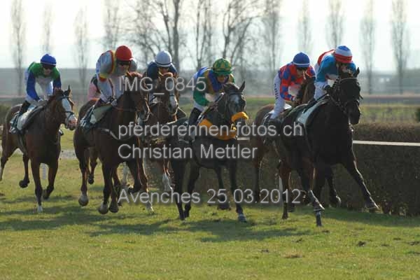 IMG 0845 prot