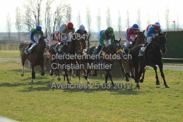 IMG 0847 prot
