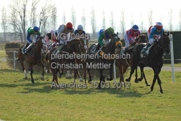 IMG 0848 prot