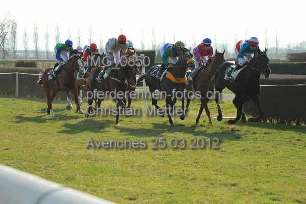 IMG 0850 prot