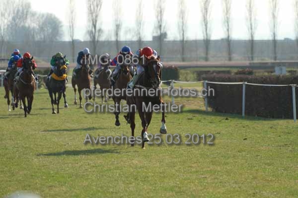 IMG 0861 prot