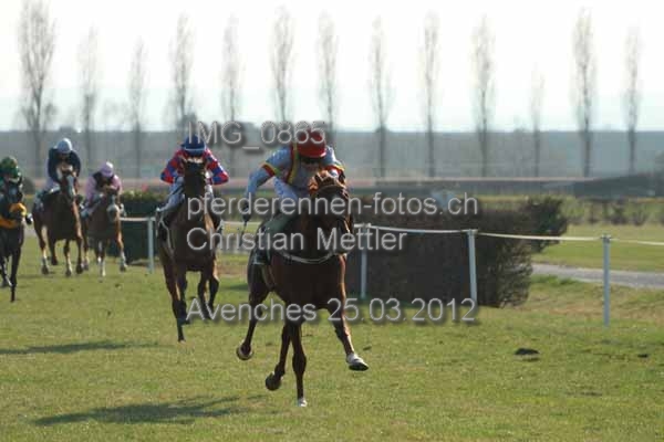 IMG 0865 prot