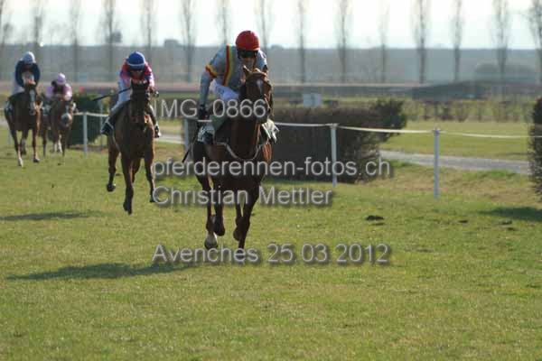 IMG 0866 prot