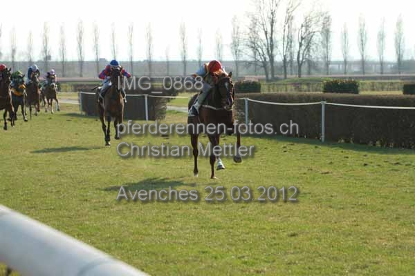 IMG 0868 prot