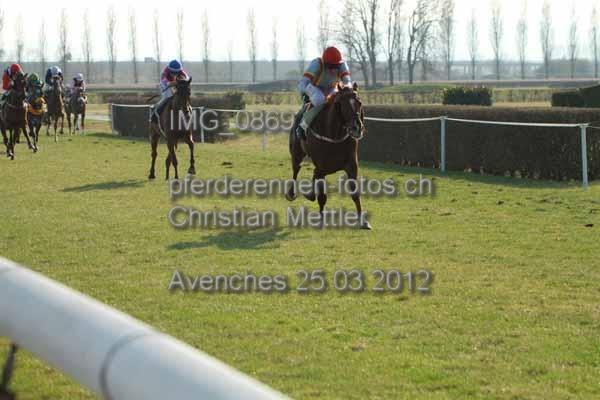 IMG 0869 prot