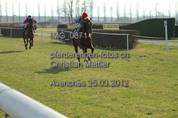 IMG 0871 prot
