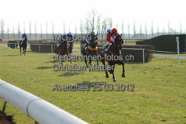 IMG 0879 prot