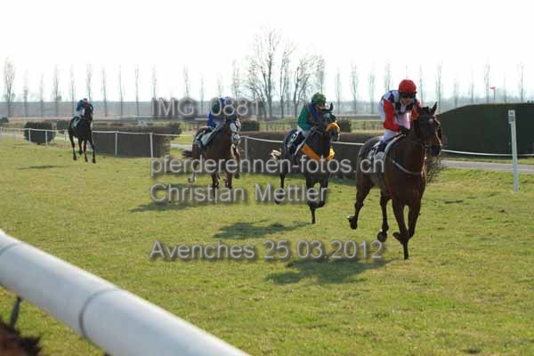 IMG 0881 prot