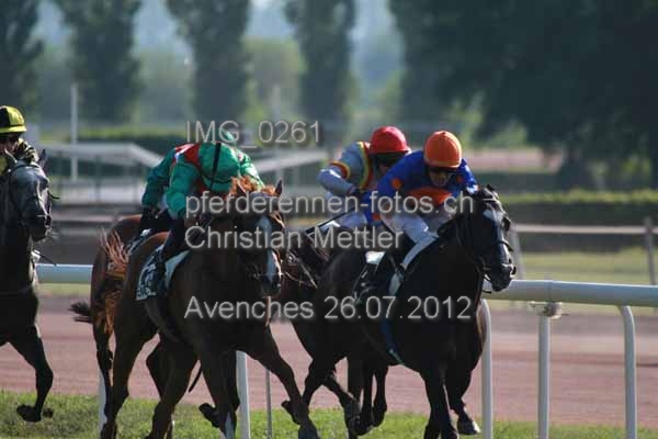IMG 0261 prot