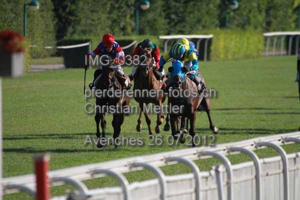 IMG 0382 prot