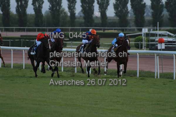 IMG 0445 prot