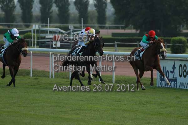 IMG 0557 prot