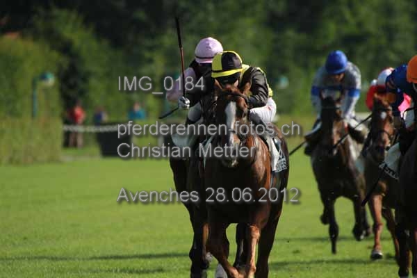 IMG 0184 prot