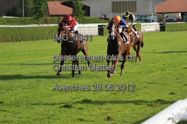 IMG 0341 prot