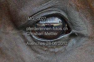 Details Kategorie: Avenches 28.06.2012