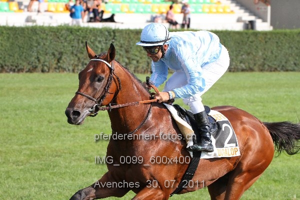 IMG 0099 600x400 prot