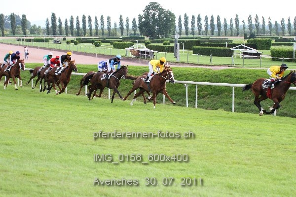 IMG 0156 600x400 prot