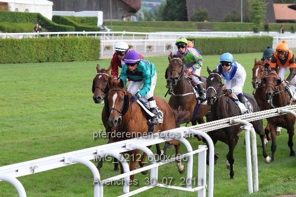 IMG 0212 600x400 prot