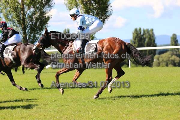 ET0Q0169 prot