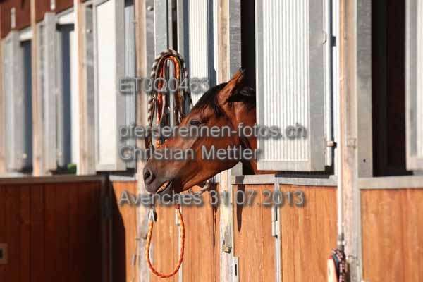 ET0Q0463 prot