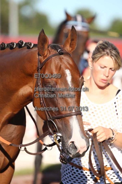 ET0Q0469 prot