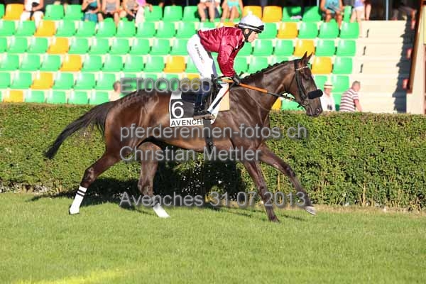 ET0Q0660 prot