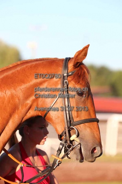 ET0Q0780 prot