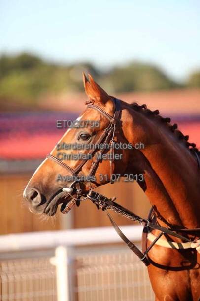 ET0Q0796 prot