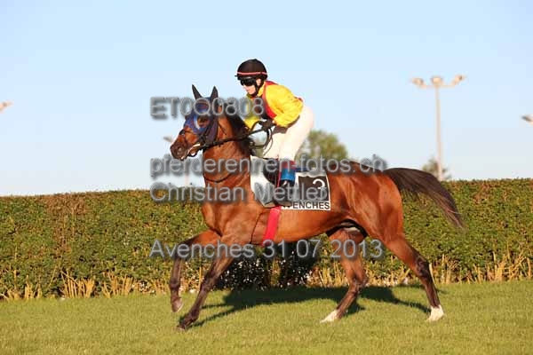 ET0Q0808 prot