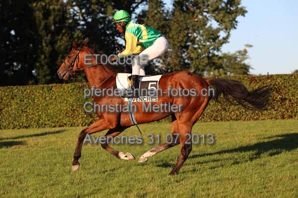 ET0Q0815 prot