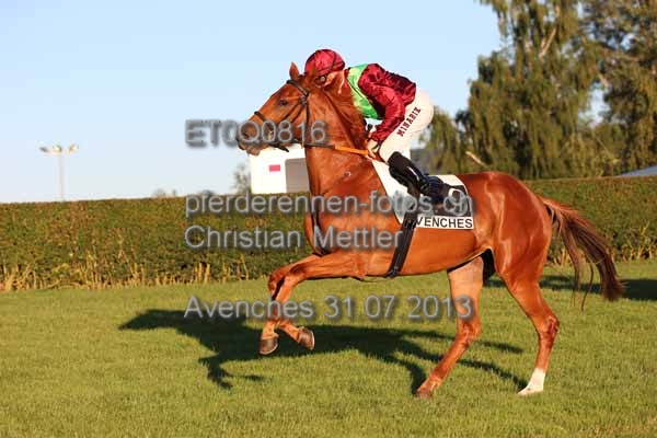 ET0Q0816 prot