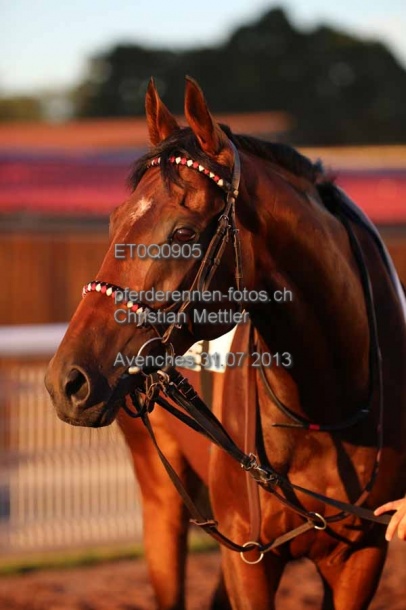 ET0Q0905 prot